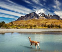 Torres del Paine, Cile: un guanaco attraversa il fiume con sullo sfondo il Massiccio del Paine, incorniciato dal magico cielo della Patagonia cilena - © Pichugin Dmitry / Shutterstock.com ...