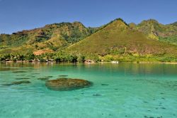 Tour in barca dell'isola di Moorea. In questa immagine la laguna settentrionale