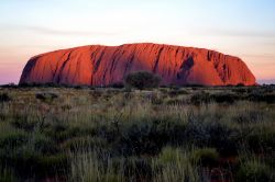 La magia del Tramonto nel parco di Ayers Rock (Uluru) in Australia - Le arenarie, chiamate arkose dai geologi, anche se frammiste a ciottoli, dal tipico colore arancione, alla sera regalano ...