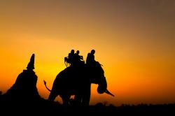 Tramonto a Ayutthaya in Tailandia: tempio ed elefante in contro luce - © Mr.Reborn55 / Shutterstock.com