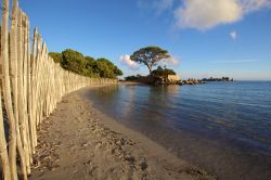 Tramonto sulla Palombaggia, la grande spiaggia di Porto Vecchio in Corsica - © David PETIT / Shutterstock.com