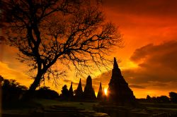 Tramonto bellissimo presso il tempio di Wat Chaiwatthanaram ad Ayutthaya, in Thailandia - © apiguide / Shutterstock.com