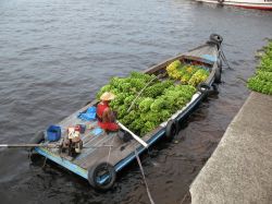 Trasporto banane a Manau, che avviene lungo il fiume Rio Negro del Brasile - © guentermanaus / Shutterstock.com