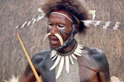 Tribù etnia Dani: un guerrirero tipico delle popolazioni della Papua Nuova Guinea  - Foto di Giulio Badini, I Viaggi di Maurizio Levi.