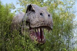 Un tyrannosauro nascosto tra la vegetazone a Dinoland nel parco di Mirabilandia, Emilia Romagna, Italia
