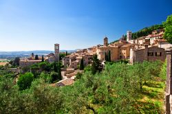 Ulivi incorniciano il centro di Assisi. Natura, storia e ottimo cibo nel cuore verde d'Italia sono gli ingredienti di un perfetto itinerario che porta alla scoperta di una regione che sta ...