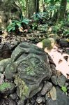 Un Tiki nella foresta dento Moorea Polinesia Francese. Il tiki è la divinità composta da 3 dei, e questa coincendenza con la trinità cristiana semplificò moltissimo ...