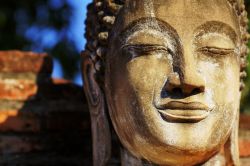 Un volto sereno di Budda a Autthaya in Thailandia - © ATIKARN MATAKANGANA / Shutterstock.com
