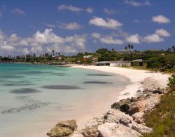 Una bella spiaggia sabbiosa sull'isola di Aruba ai caraibi - © Holger Wulschlaeger / Shutterstock.com