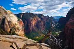 Un'ampia valle del Parco Nazionale di Zion, nello Utah, Stati Uniti. L'area naturale protetta si estende per 593 kmq e ha un'altitudine variabile tra i 1.100 e i 2.600 metri circa. ...