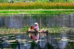 Van Long, riserva naturale nella provincia di Ninh Binh, Vietnam: in questa zona sono molti i turisti che amano concedersi una giornata di relax navigando a remi nelle acque palustri della riserva ...