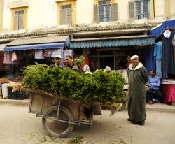 Venditore di menta a Essaouira, Marocco - Percorrendo la medina di Essaouira non si può che rimanerne davvero incantati: porte blu, case imbiancate a calce, laboratori artigianali e piccole ...
