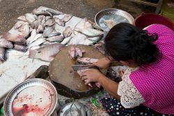 Una venditrice di pesce a Yangon, Birmania.
