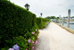 Via del porto di Hyannis, la località turistica del Maasachusetts negli USA - © Joyce Vincent / Shutterstock.com