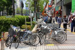 Viale alberato nel centro di Kawasaki: ci troviamo nella Grande Area Metropolitana di Tokyo, Giappone - © Tupungato / Shutterstock.com