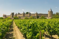 Vigneti intorno a Carcassonne: ci troviamo in Occitanie (ex Linguadoca-Rossiglione), l'assolata regione meridionale della Francia - © javarman / Shutterstock.com