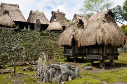 Villaggio tradizionale sull' isola di Flores, arcipelogo delle Piccole isole della Sonda - © Rafal Cichawa / Shutterstock.com