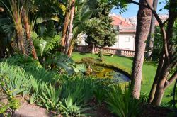 Visita ai giardini di Villa della Pergola ad Alassio in provincia di Savona