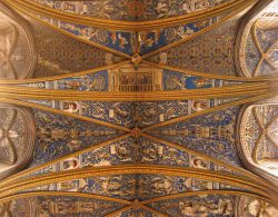 La volta all'interno interno della Cattedrale di Santa Cecili di Albi (Occitanie).