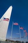 Il Washington Monument si trova nell'omonima capitale degli Stati Uniti d'America (USA), distretto di Columbia - © Orhan Cam / Shutterstock.com