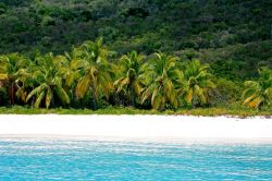 White Bay a Jost Van Dyke, Isole Vergini Britanniche - Sicuramente la spiaggia più famosa di Jost Van Dyke e delle di tutte le Isole Vergini, non solo per la sua bellezza ma soprattutto ...