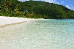 Una delle spiagge più belle delle British Virgin Islands: White Bay, Guana Island  - © Guendalina Buzzanca / thegtraveller.com