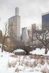 Central Park innevato, New York (USA). Siamo nella Uptown, al centro fra i due quartieri residenziali, l'Upper West Side e l'Upper East Side  - © Tagger YanceyIV NYC Company ...