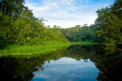 Panorama dello Yasuni National Park, Ecuador. Questo ampio parco naturale si estende su una superficie di quasi 10 mila chilometri quadrati nelle province di Pastaza e Orellana, nella foresta ...