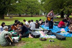 Yoyogi Park a Tokyo, una delle aree verdi più amate della capitale giapponese - © cdrin / Shutterstock.com 