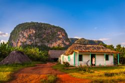 La tipica abitazione dei guajiros di Viñales, detta bohío, circondata dai campi di tabacco e dai mogotes della valle.