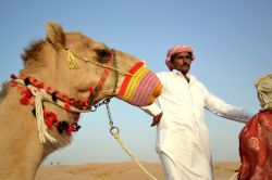 Deserto di Abu Dhabi: ad una sola ora di auto ...