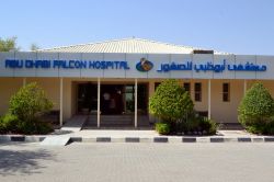 Abu Dhabi Falcon Hospital: inaugurato nel 1999, ...