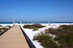 Abu Dhabi, Saadiyat Beach: su Saadiyat Island si trovano le spiagge più belle di Abu Dhabi; la sabbia bianca e l'acqua cristallina del Golfo Persico sono la cornice ideale per una ...