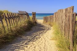 Accesso al mare turchese di Torre Canne, tra le dune costiere protette vicino a Fasano (Puglia)