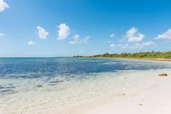 Acqua cristallina del mare caraibico a Mahahual, Messico. La barriera corallina si trova a soli 200 metri dalla costa.
