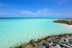 L'acqua trasparente dell'Oceano Indiano all'isola di Maafushi, Maldive. Questo angolo di paradiso nell'atollo di Kaafu è una delle mete preferite da chi cerca le Maldive ...