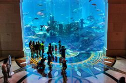 L'Acquario dell'Hotel Atlantis a Dubai, Emirati Arabi Uniti - © Kiev.Victor / Shutterstock.com