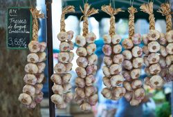 Aglio in vendita al mercato di Aix-en-Provence, France - Trecce di aglio dalle sfumature violacee esposte nelle bancarelle del mercato ortofrutticolo della città provenzale © Nikolay ...