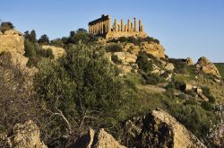 Veduta panoramica dei giardini della Valle dei Templi ad Agrigento (Sicilia) - Qui la natura, la storia e l'arte collaborano tra di loro con un mix imprescindibile l'uno dall'altro. ...