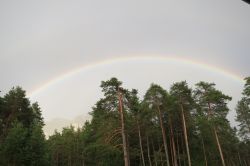 Alberi a San Vigilio di Marebbe, Trentino Alto Adige. Un caratteristico arcobaleno ad arco è perfetta cornice per la vegetazione fascinosa che si trova in questo territorio esclusivo ...