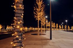 Alberi decorati con ghirlande e luci natalizie al parco di Krasnodar a Den Haag, Olanda.
