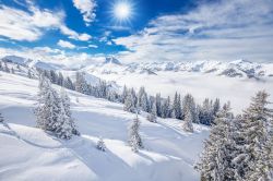 Alberi innevati sulle Alpi a Lenzerheide (Svizzera): un suggestivo paesaggio invernale.

