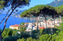 Alberi verdi e la città di Vietri sul Mare sullo sfondo, Campania, Italia. Ad appena 3 km da Salerno, questa cittadina è considerata la prima delle 13 perle della Costa Amalfitana. ...
