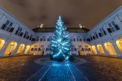 Albero di Natale illuminato di notte nella residenza del re d'Olanda a Den Haag - © Ankor Light / Shutterstock.com