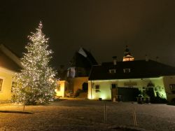 Albero di Natale illuminato di sera nel centro del villaggio di Rust, Austria.
