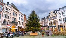Albero di Natale in piazza Plaats a L'Aia, Olanda. Fra le più piccole della città, questa piazza ha ospitato nel tempo molti eventi storici trovandosi a fianco dell'antico ...
