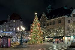 L'albero di Natale in Piazza Stortorget a Lund by night, Svezia.
