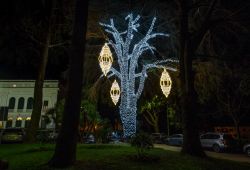 Un albero illuminato di notte in un parco pubblico di Camogli (Liguria) durante il Natale - © faber1893 / Shutterstock.com