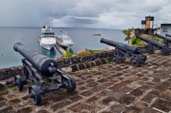 Alcuni antichi cannoni al Forte Federico di St.Georges's, capitale di Grenada. Sullo sfondo, due navi da crociera attraccate al molo.



