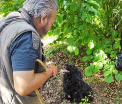 Aldo Guarnero e il suo cane Balin a caccia di tartufi nel Monferrato, vicino a Moncalvo